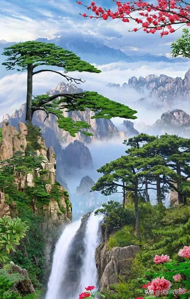 沪江开心词场