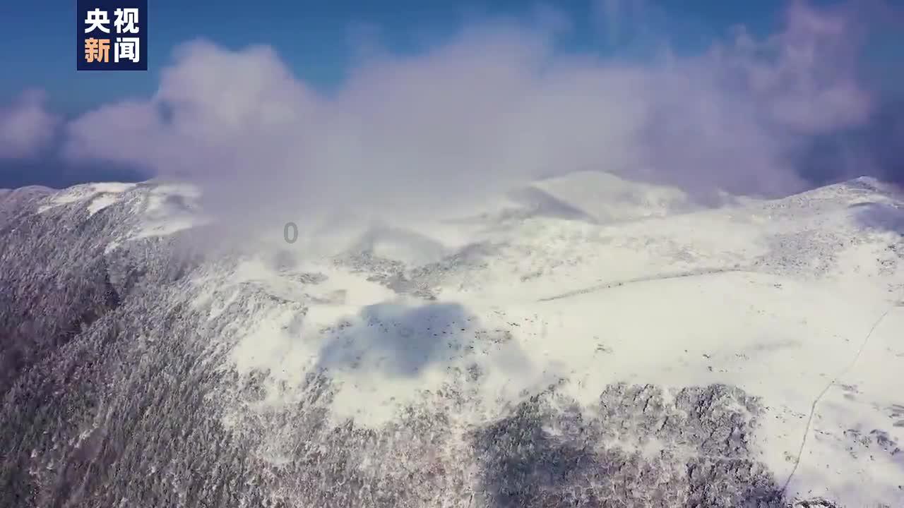 父母很自律是种什么体验?——专注知识分享的知识星球平台