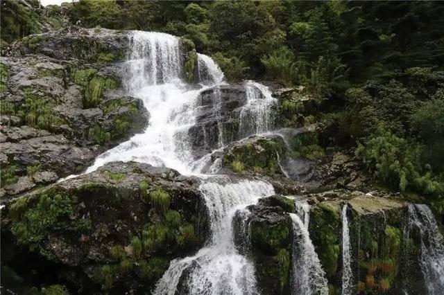 脑洞小老弟无实名认证